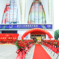 武汉小忠丽格医疗美容...