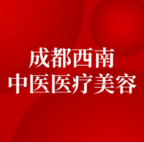 成都西南中医医院医疗...