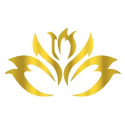 昌吉美黛海棠医疗整形...