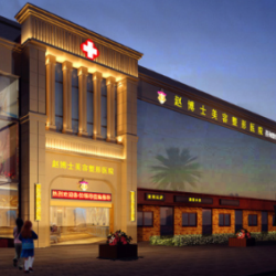 成都赵善军博士整形美...